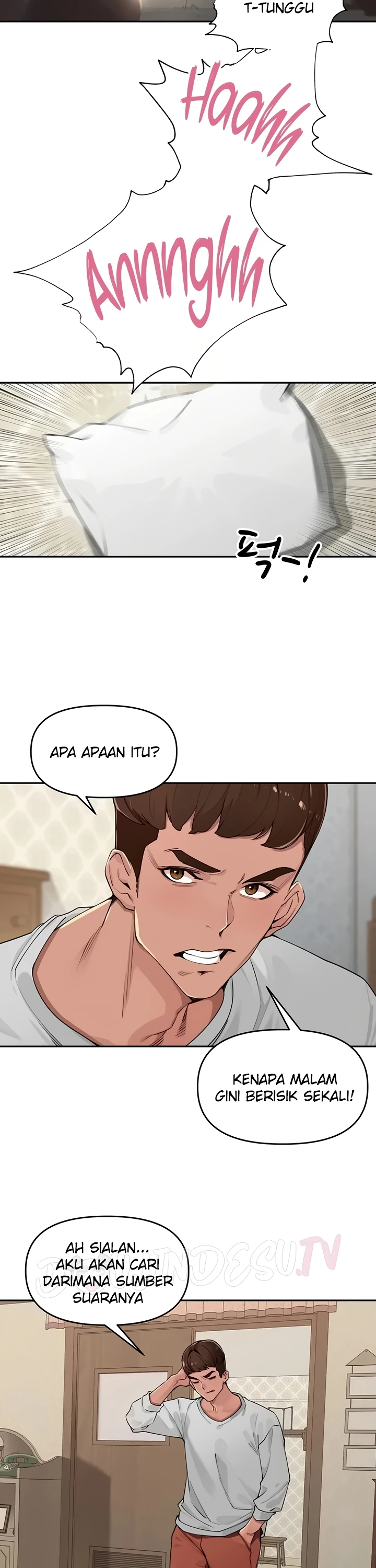 Village Special Ordinance - Page 15